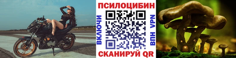 Псилоцибиновые грибы мухоморы  Мещовск 